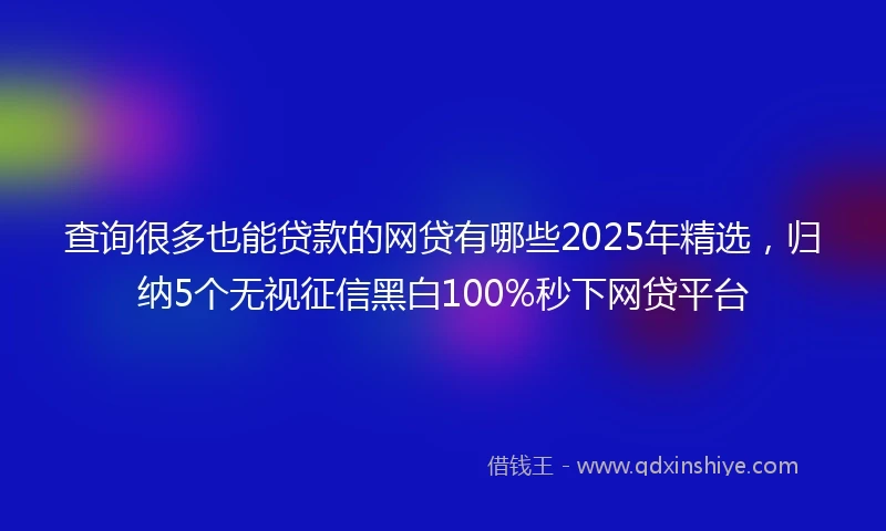 查询很多也能贷款的网贷有哪些2025年精选，归纳5个无视征信黑白100%秒下网贷平台