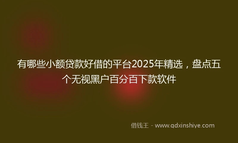 有哪些小额贷款好借的平台2025年精选，盘点五个无视黑户百分百下款软件