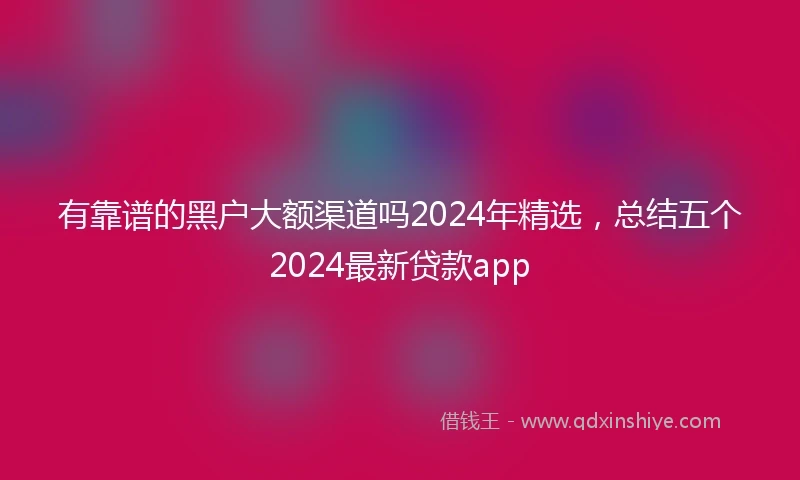 有靠谱的黑户大额渠道吗2024年精选，总结五个2024最新贷款app