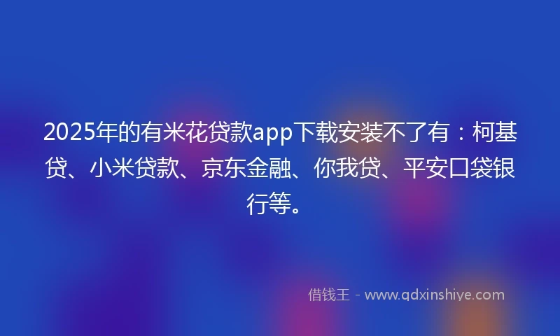 2025年的有米花贷款app下载安装不了有：柯基贷、小米贷款、京东金融、你我贷、平安口袋银行等。