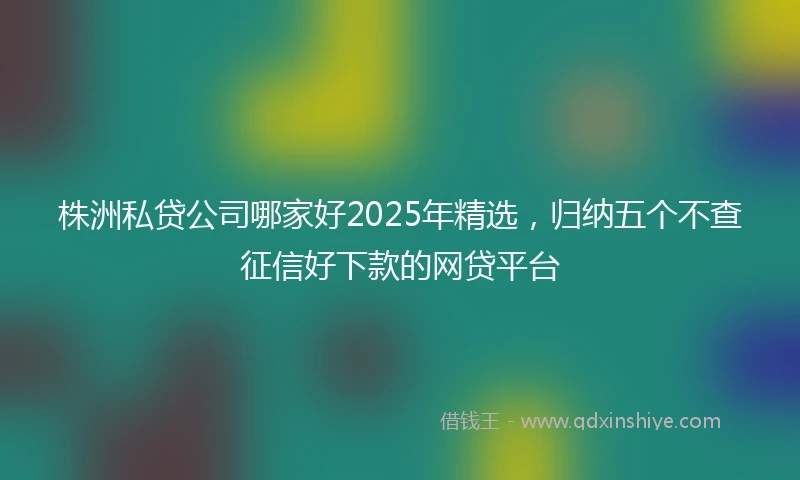 株洲私贷公司哪家好2025年精选，归纳五个不查征信好下款的网贷平台