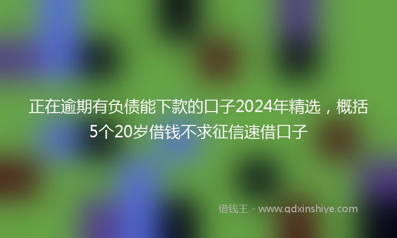 正在逾期有负债能下款的口子2024年精选，概括5个20岁借钱不求征信速借口子