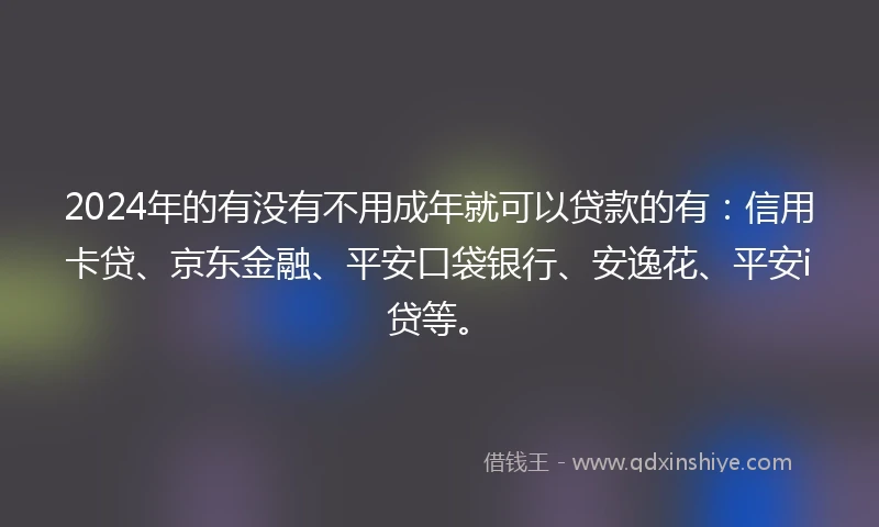2024年的有没有不用成年就可以贷款的有：信用卡贷、京东金融、平安口袋银行、安逸花、平安i贷等。