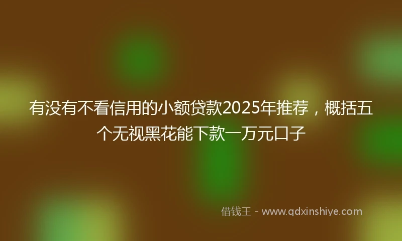 有没有不看信用的小额贷款2025年推荐，概括五个无视黑花能下款一万元口子