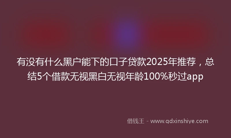 有没有什么黑户能下的口子贷款2025年推荐，总结5个借款无视黑白无视年龄100%秒过app