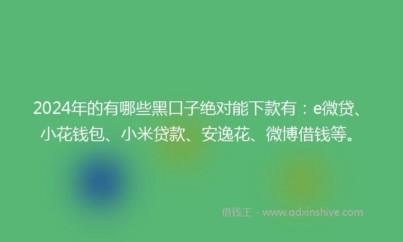 2024年的有哪些黑口子绝对能下款有：e微贷、小花钱包、小米贷款、安逸花、微博借钱等。