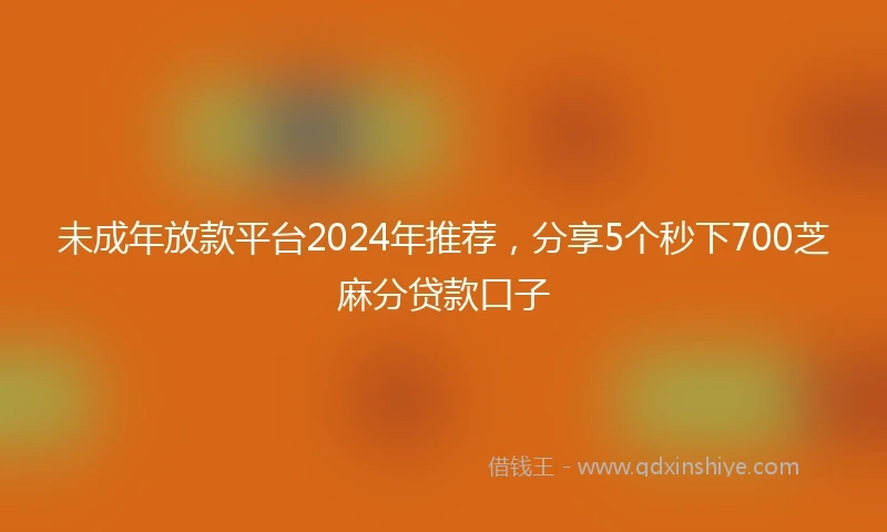 未成年放款平台2024年推荐，分享5个秒下700芝麻分贷款口子