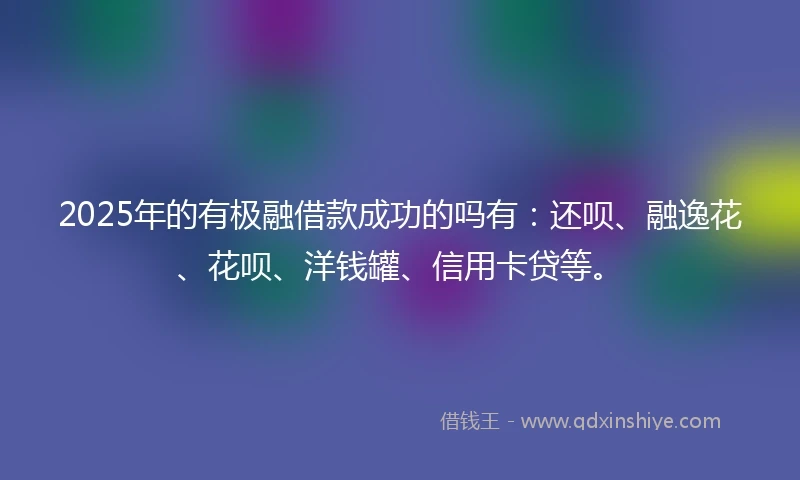 2025年的有极融借款成功的吗有：还呗、融逸花、花呗、洋钱罐、信用卡贷等。