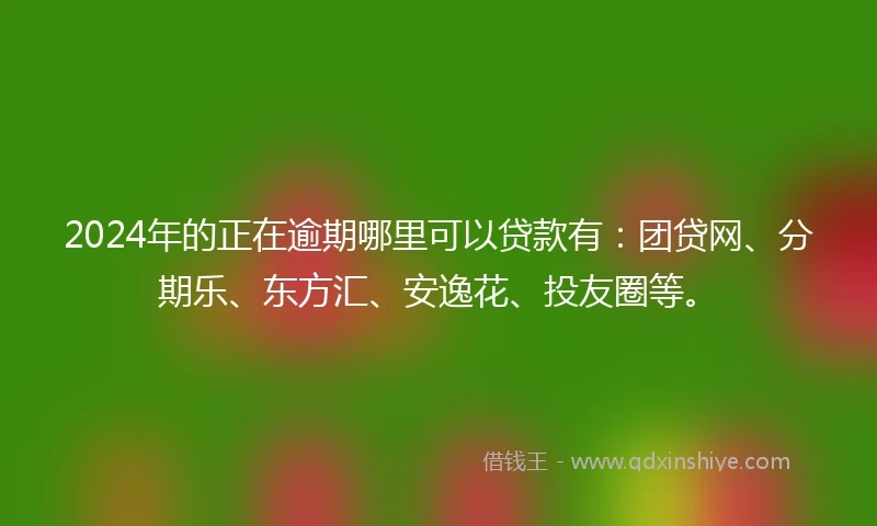 2024年的正在逾期哪里可以贷款有：团贷网、分期乐、东方汇、安逸花、投友圈等。