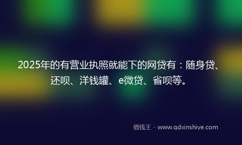 2025年的有营业执照就能下的网贷有：随身贷、还呗、洋钱罐、e微贷、省呗等。