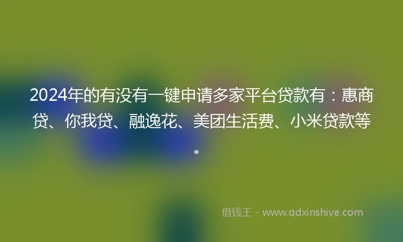 2024年的有没有一键申请多家平台贷款有：惠商贷、你我贷、融逸花、美团生活费、小米贷款等。