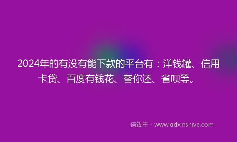 2024年的有没有能下款的平台有：洋钱罐、信用卡贷、百度有钱花、替你还、省呗等。