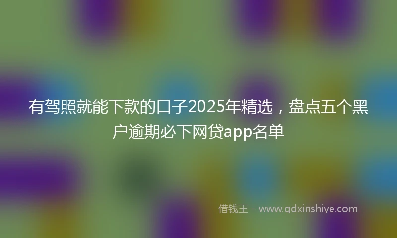 有驾照就能下款的口子2025年精选，盘点五个黑户逾期必下网贷app名单