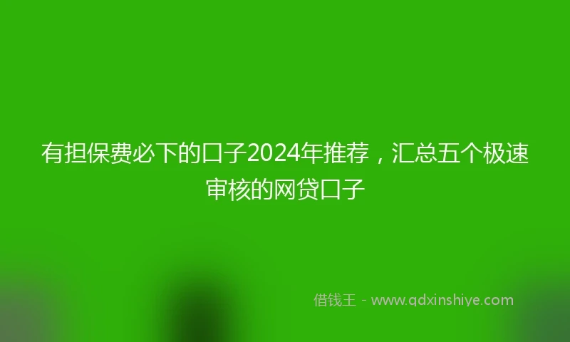 有担保费必下的口子2024年推荐，汇总五个极速审核的网贷口子
