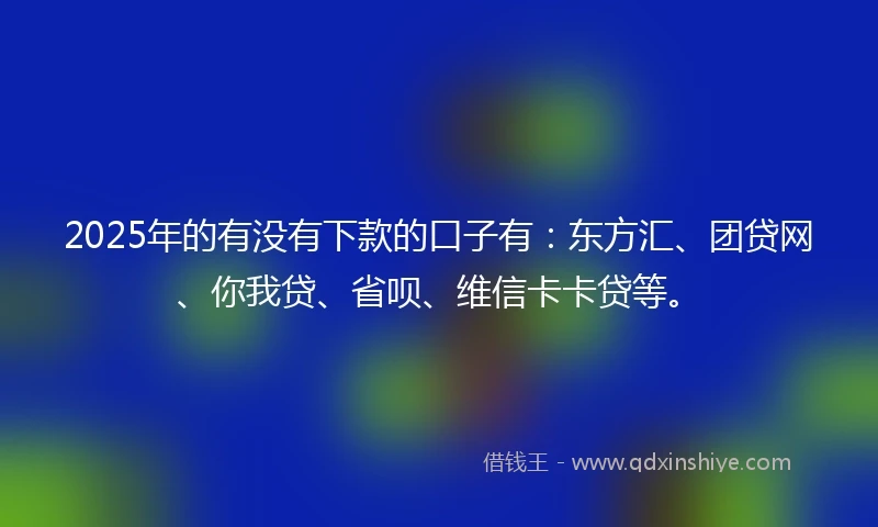 2025年的有没有下款的口子有：东方汇、团贷网、你我贷、省呗、维信卡卡贷等。