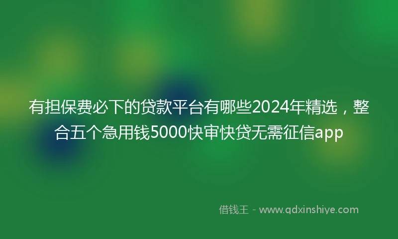 有担保费必下的贷款平台有哪些2024年精选，整合五个急用钱5000快审快贷无需征信app
