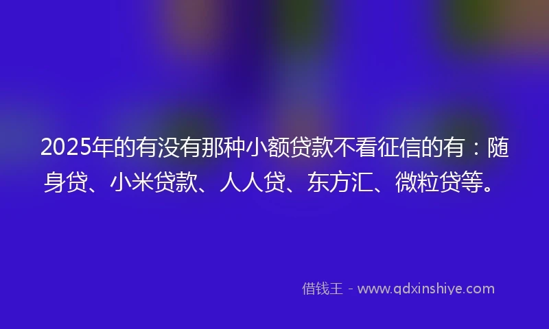 2025年的有没有那种小额贷款不看征信的有：随身贷、小米贷款、人人贷、东方汇、微粒贷等。