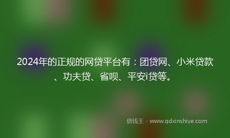 2024年的正规的网贷平台有：团贷网、小米贷款、功夫贷、省呗、平安i贷等。