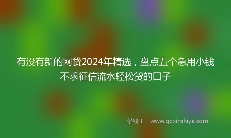 有没有新的网贷2024年精选，盘点五个急用小钱不求征信流水轻松贷的口子