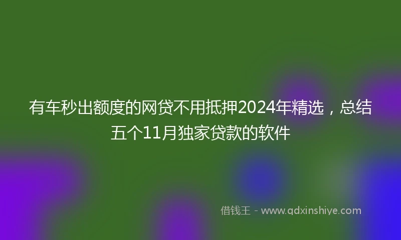 有车秒出额度的网贷不用抵押2024年精选，总结五个11月独家贷款的软件