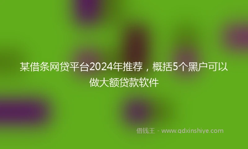 某借条网贷平台2024年推荐，概括5个黑户可以做大额贷款软件