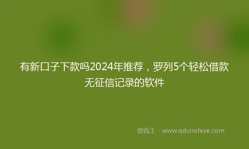 有新口子下款吗2024年推荐，罗列5个轻松借款无征信记录的软件
