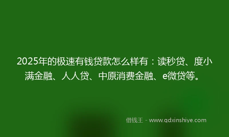 2025年的极速有钱贷款怎么样有：读秒贷、度小满金融、人人贷、中原消费金融、e微贷等。