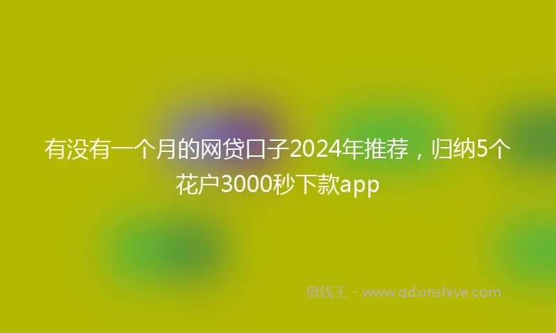 有没有一个月的网贷口子2024年推荐，归纳5个花户3000秒下款app