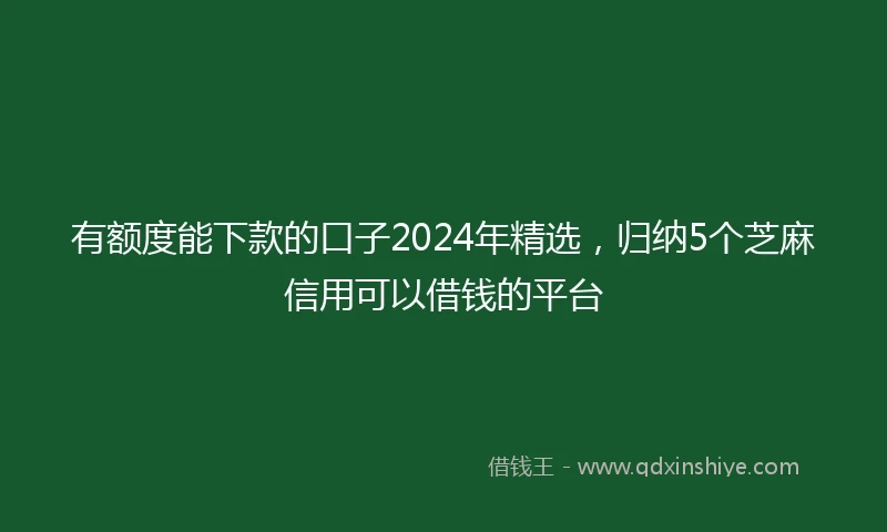 有额度能下款的口子2024年精选，归纳5个芝麻信用可以借钱的平台