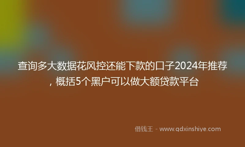 查询多大数据花风控还能下款的口子2024年推荐，概括5个黑户可以做大额贷款平台