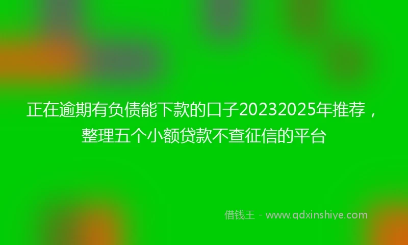 正在逾期有负债能下款的口子20232025年推荐，整理五个小额贷款不查征信的平台