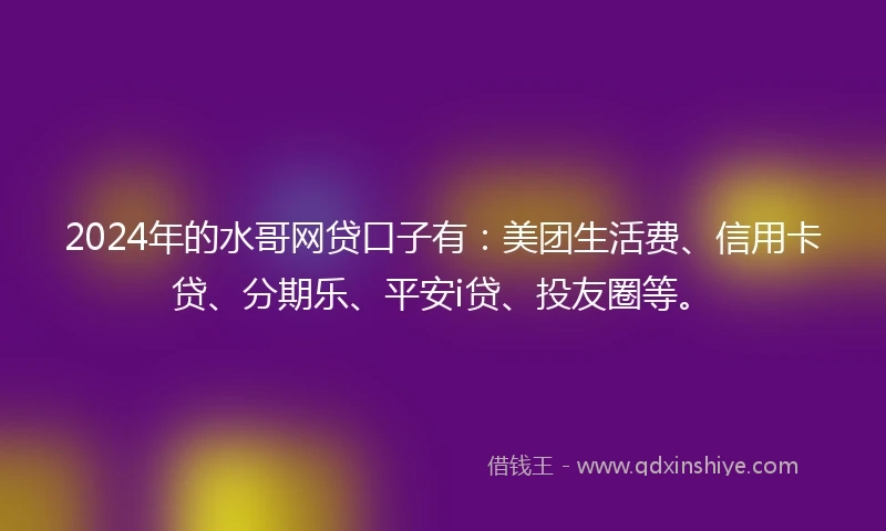 2024年的水哥网贷口子有：美团生活费、信用卡贷、分期乐、平安i贷、投友圈等。