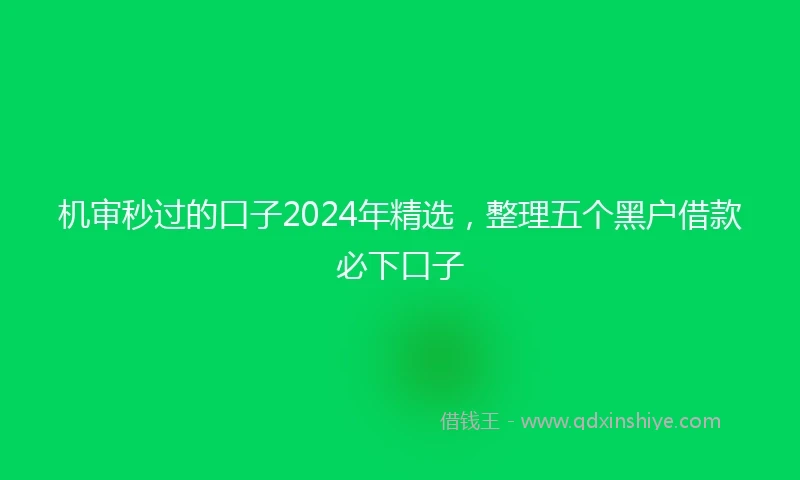 机审秒过的口子2024年精选，整理五个黑户借款必下口子