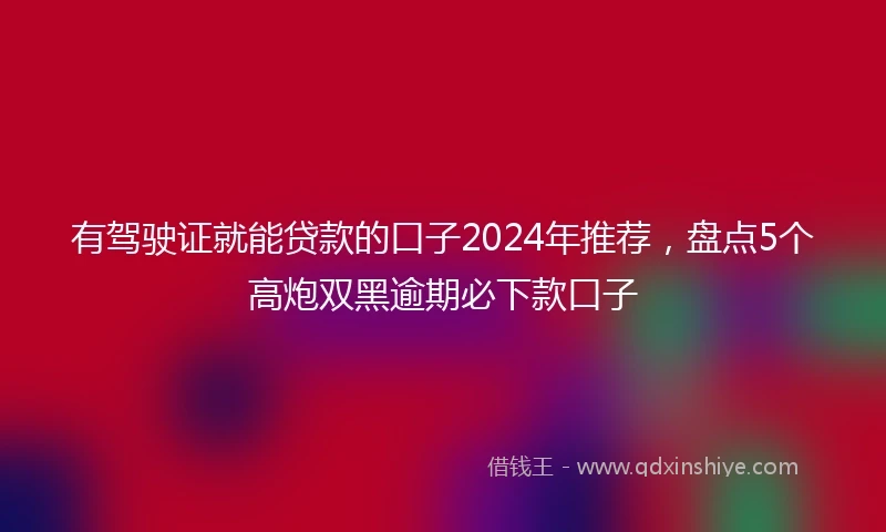 有驾驶证就能贷款的口子2024年推荐，盘点5个高炮双黑逾期必下款口子