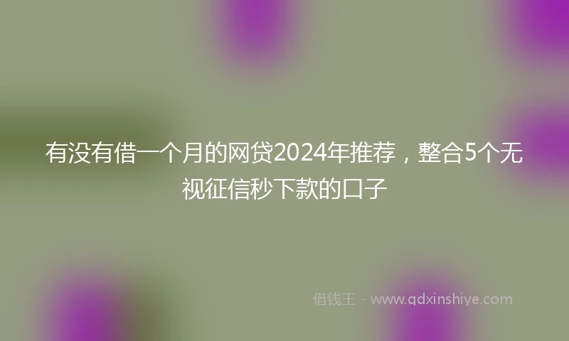 有没有借一个月的网贷2024年推荐，整合5个无视征信秒下款的口子