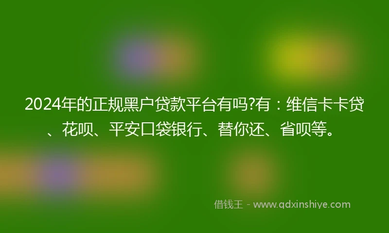 2024年的正规黑户贷款平台有吗?有：维信卡卡贷、花呗、平安口袋银行、替你还、省呗等。
