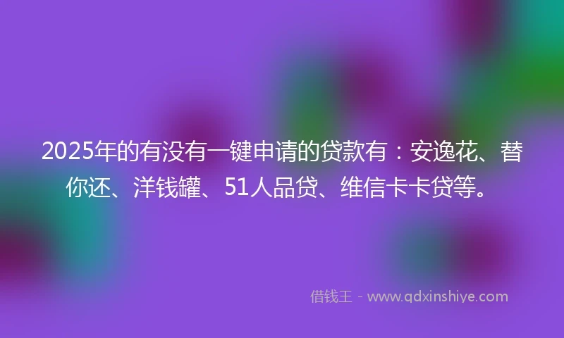 2025年的有没有一键申请的贷款有：安逸花、替你还、洋钱罐、51人品贷、维信卡卡贷等。