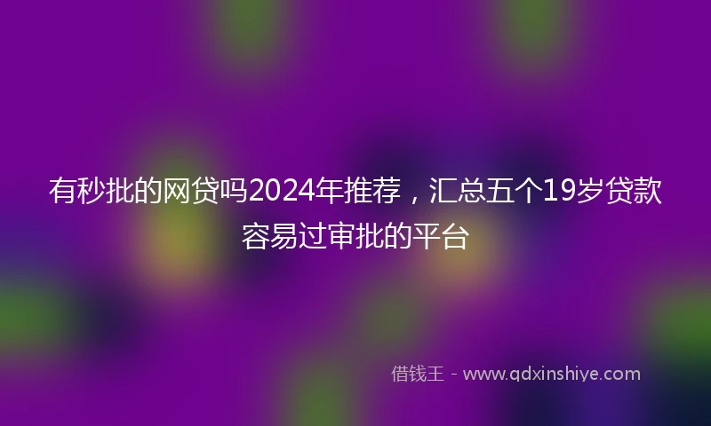有秒批的网贷吗2024年推荐，汇总五个19岁贷款容易过审批的平台