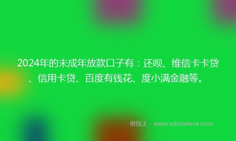 2024年的未成年放款口子有：还呗、维信卡卡贷、信用卡贷、百度有钱花、度小满金融等。