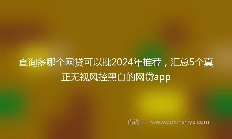 查询多哪个网贷可以批2024年推荐，汇总5个真正无视风控黑白的网贷app