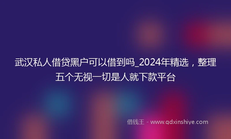 武汉私人借贷黑户可以借到吗_2024年精选，整理五个无视一切是人就下款平台
