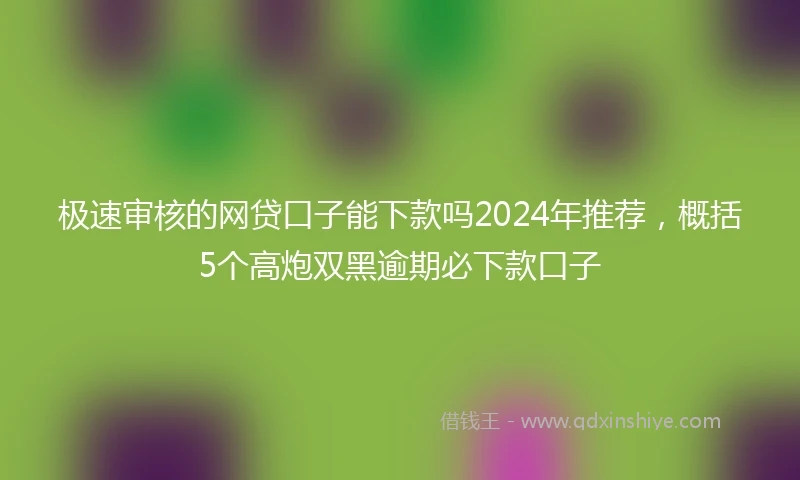 极速审核的网贷口子能下款吗2024年推荐，概括5个高炮双黑逾期必下款口子