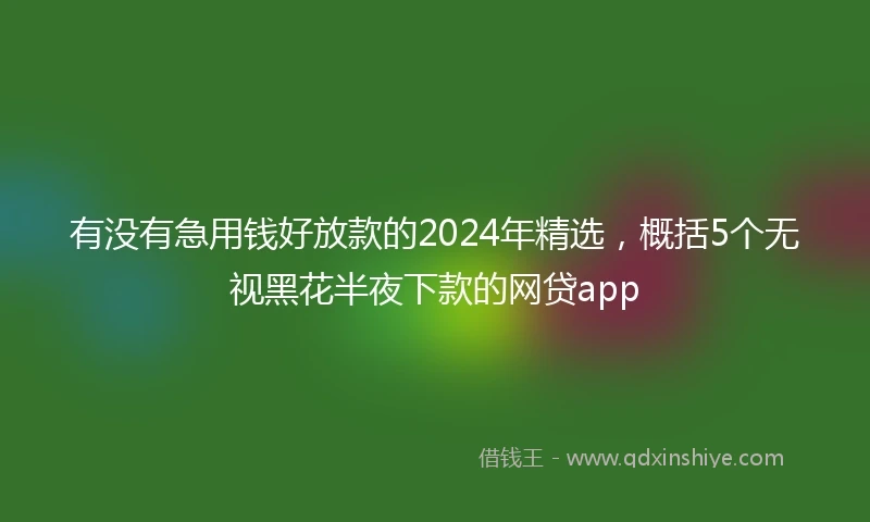有没有急用钱好放款的2024年精选，概括5个无视黑花半夜下款的网贷app