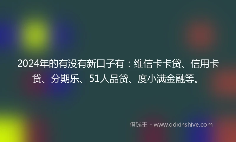 2024年的有没有新口子有：维信卡卡贷、信用卡贷、分期乐、51人品贷、度小满金融等。
