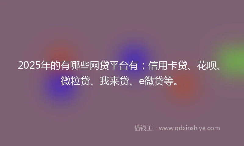 2025年的有哪些网贷平台有：信用卡贷、花呗、微粒贷、我来贷、e微贷等。