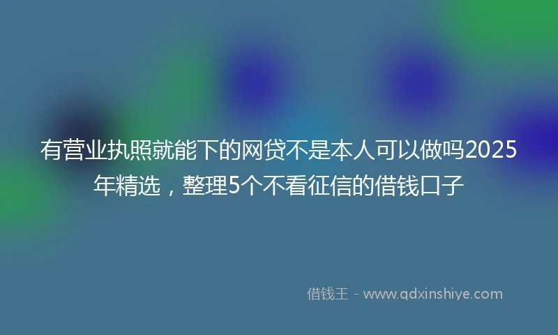 有营业执照就能下的网贷不是本人可以做吗2025年精选，整理5个不看征信的借钱口子