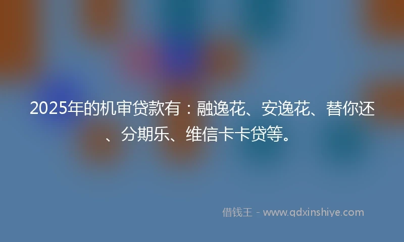2025年的机审贷款有：融逸花、安逸花、替你还、分期乐、维信卡卡贷等。