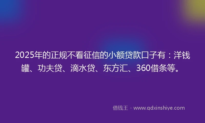 2025年的正规不看征信的小额贷款口子有：洋钱罐、功夫贷、滴水贷、东方汇、360借条等。