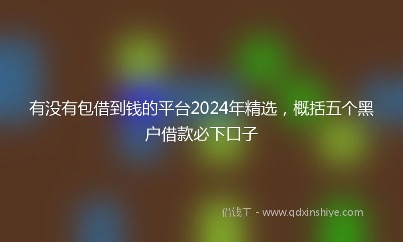 有没有包借到钱的平台2024年精选，概括五个黑户借款必下口子