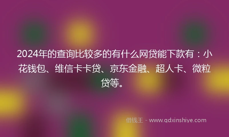 2024年的查询比较多的有什么网贷能下款有：小花钱包、维信卡卡贷、京东金融、超人卡、微粒贷等。